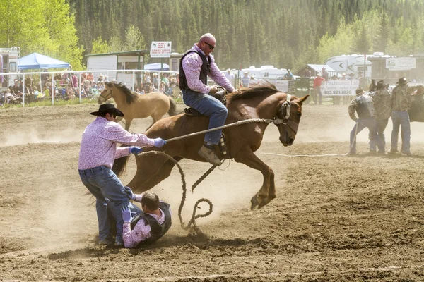 Rodeo Frenado en —  Fotos de Stock