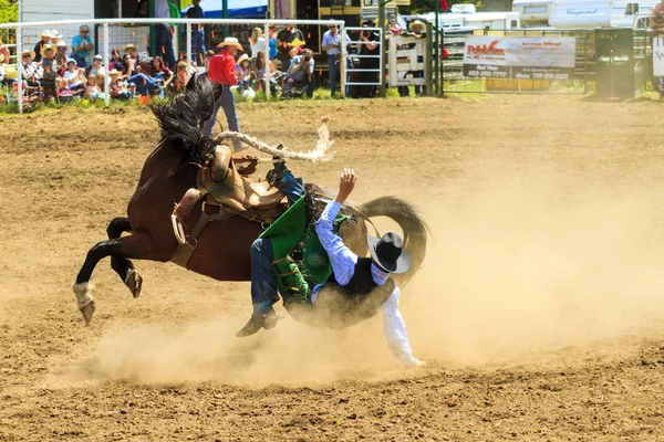 Rodeo Bronco Jinetes —  Fotos de Stock