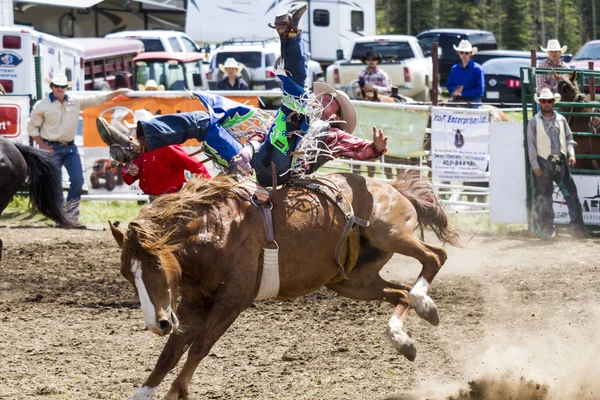 Zawodników Rodeo Bronco — Zdjęcie stockowe