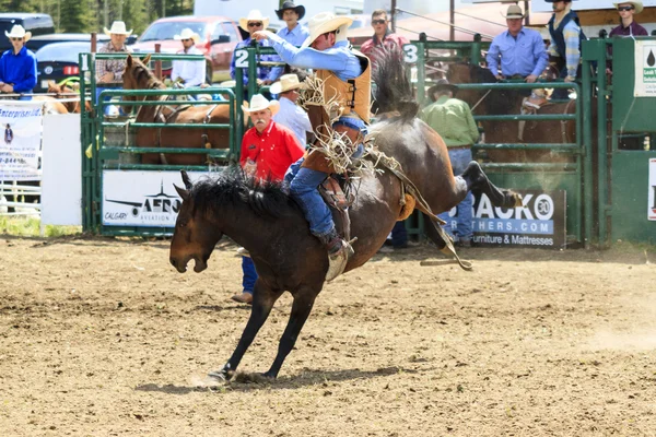 Rodeo Bronco biniciler — Stok fotoğraf