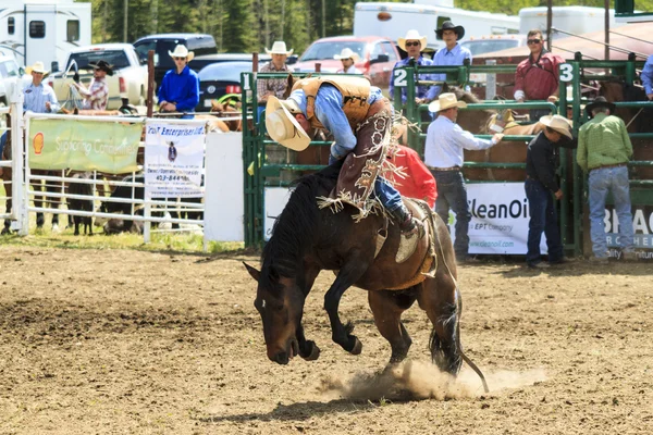 Cavaliers de rodéo Bronco — Photo