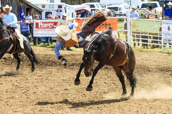 Rodeo Bronco biniciler — Stok fotoğraf