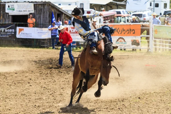 Rodeo Bronco biniciler — Stok fotoğraf