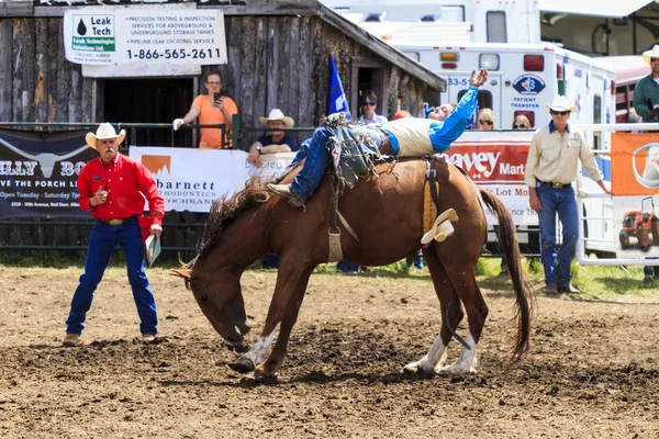 Cavaliers de rodéo Bronco — Photo