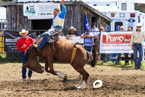 Cavaliers de rodéo Bronco — Photo