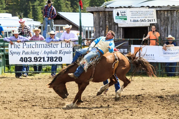 Rodeo Bronco biniciler — Stok fotoğraf