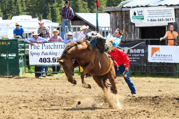 Cavaliers de rodéo Bronco — Photo