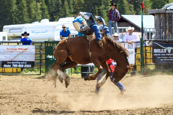 Cavaliers de rodéo Bronco — Photo