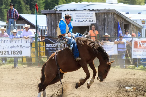 Cavaliers de rodéo Bronco — Photo