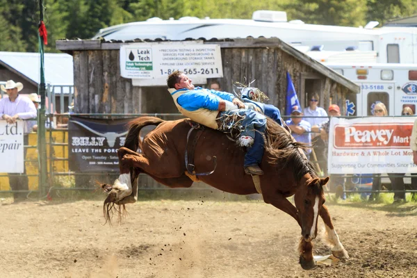 Rodeo Bronco biniciler — Stok fotoğraf