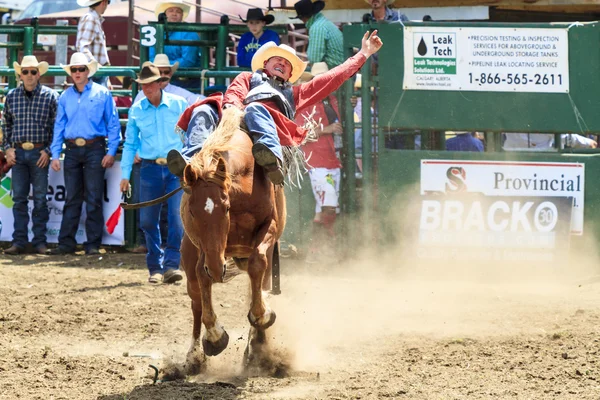 Rodeo Bronco Riders – Stock Editorial Photo © Imagecom #74965875