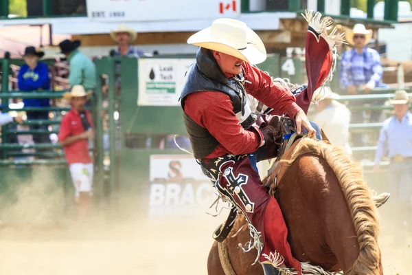 Cavaliers de rodéo Bronco — Photo