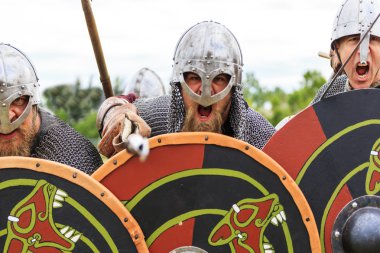 Viking Savaşçıları