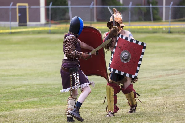 Lucha — Foto de Stock