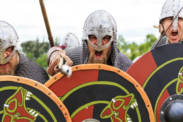 Viking Warriors — Stock Photo, Image