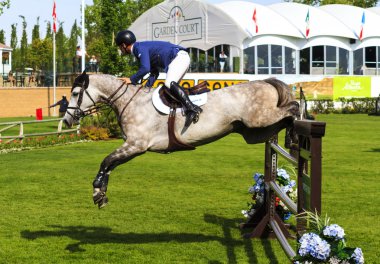 Ladin Meadows uluslararası hors atlama Yarışması,