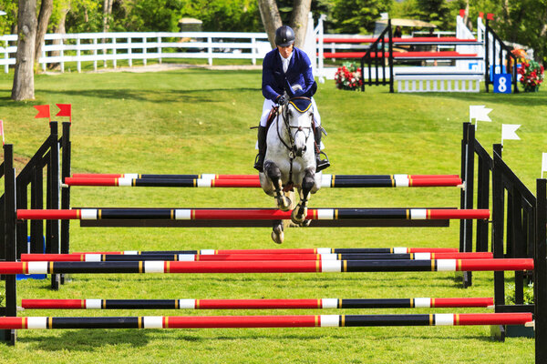 Международные соревнования по прыжкам с травы
,