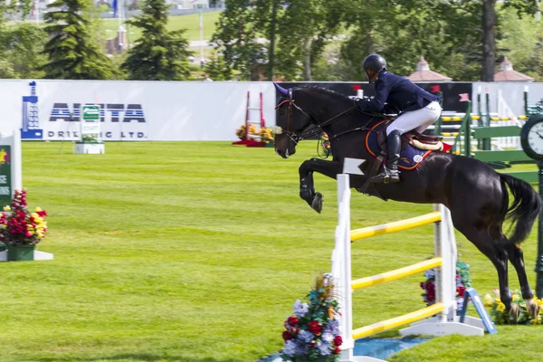 Spruce Meadows International hors jumping competition, — Stock Photo, Image