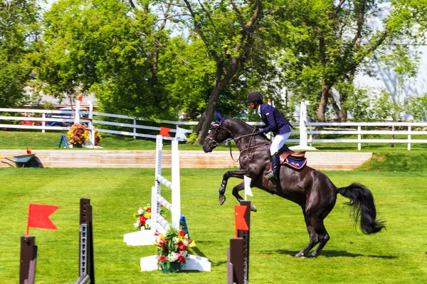 Spruce Meadows International hors jumping competition, — Stock Photo, Image