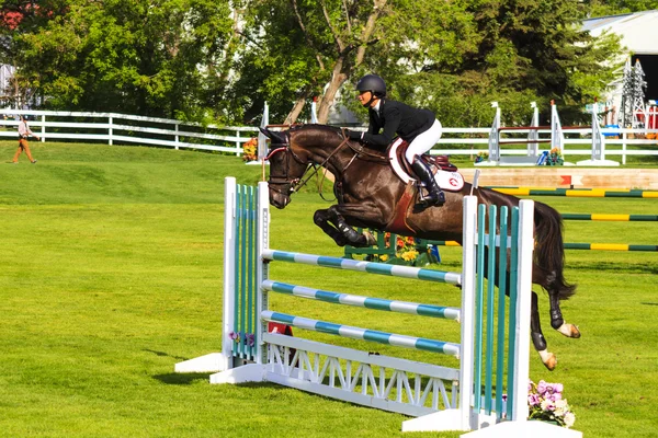 Spruce Meadows International hors jumping competition, — Stock Photo, Image