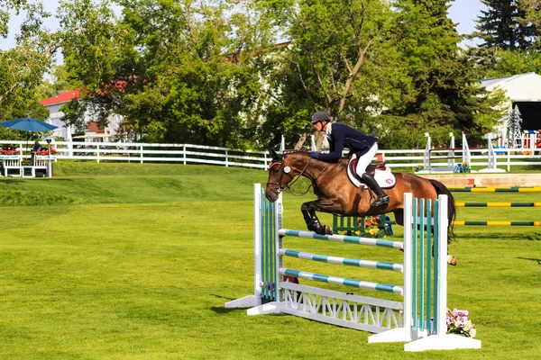 Spruce Meadows International hors jumping competition, — Stock Photo, Image