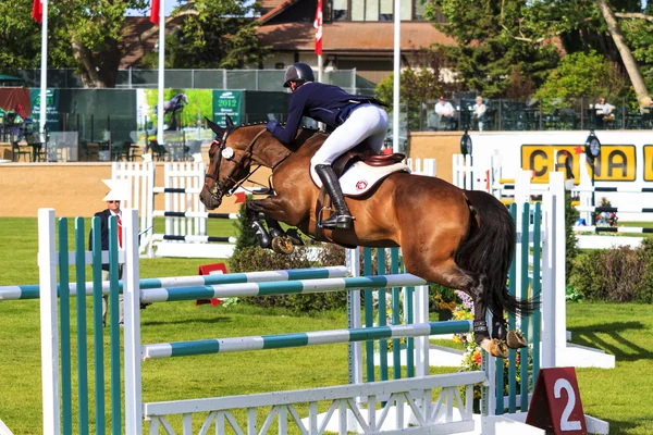 Spruce Meadows International hors jumping competition, — Stock Photo, Image