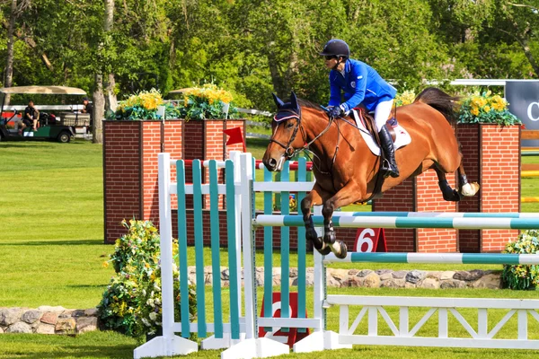 Spruce Meadows International hors jumping competition, — Stock Photo, Image