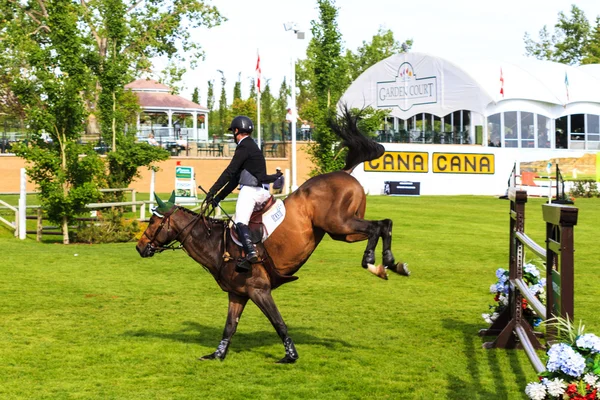 Spruce Meadows International hors jumping competition, — Stock Photo, Image