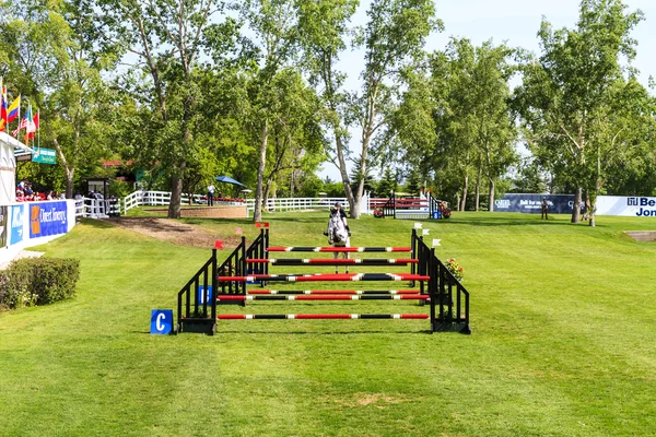 Vuren weiden International hors springconcours, — Stockfoto