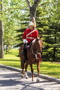 Royal Canadians Mounted Regiment clipart