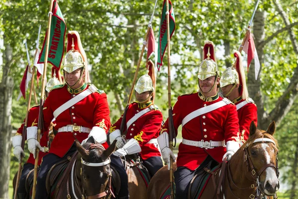 Королівський канадців монтується полк Ліцензійні Стокові Зображення