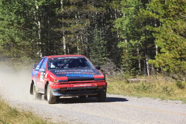 Dia do Rally — Fotografia de Stock