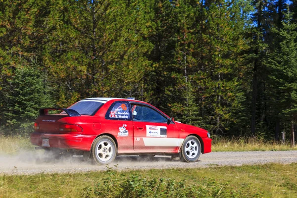 Día del Rally — Foto de Stock