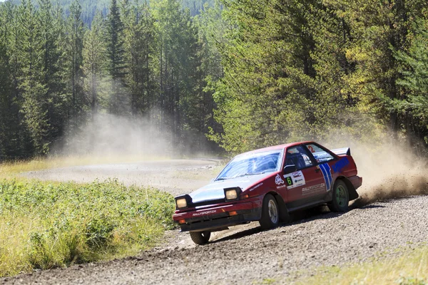 Día del Rally — Foto de Stock