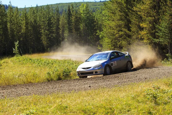 Rally dag — Stockfoto