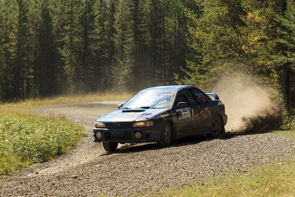 Día del Rally — Foto de Stock