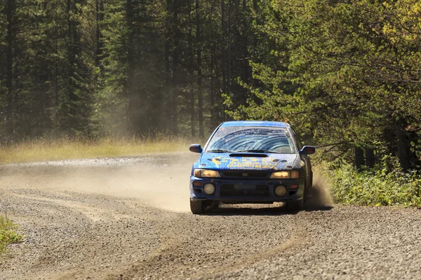 Día del Rally — Foto de Stock