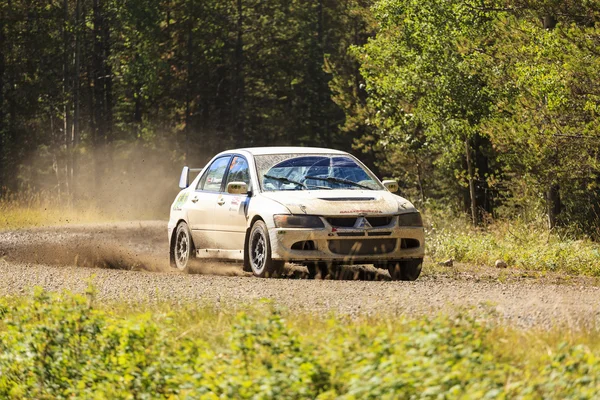 Día del Rally — Foto de Stock