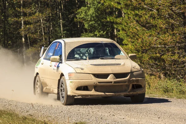 Rally dag — Stockfoto