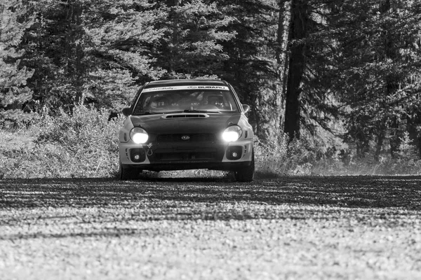 Rallye-Tag — Stockfoto