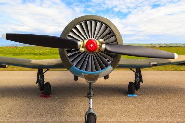 Uluslararası hava gösterisi