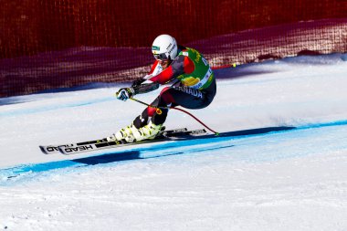 Audi FIS Alp Kayak Erkekler Dünya Kupası yarışı