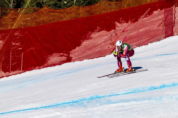 Audi Fis Alpine Ski muži mistrovství světa závod — Stock fotografie