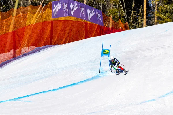 아우디 Fis 알파인 스키 남자 월드컵 레이스 — 스톡 사진