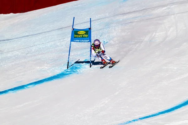 LAGO LOUISE, ALBERTA CANADÁ - OCT.29.2015. (en inglés). : 64 velocidades oficiales de entrada durante la carrera de esquí alpino de la Copa del Mundo de Esquí Masculino Audi FIS. La velocidad media es de 132 km / h durante la carrera . —  Fotos de Stock