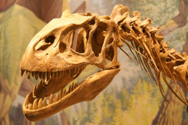 Prehistorik Park genç ve yaşlı çekmek