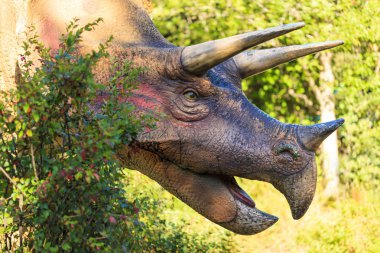 Prehistorik Park genç ve yaşlı çekmek