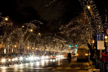 Noel ışıkları ağaçların bir satırda,