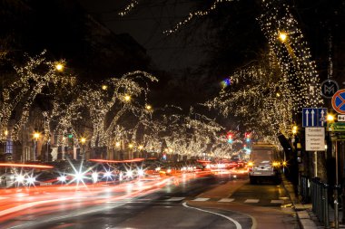 Noel ışıkları ağaçların bir satırda,