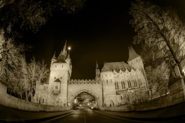 Budapeşte'de gece Castle